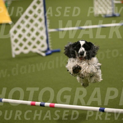 Winston-David-and-Christy-Thorley-02443