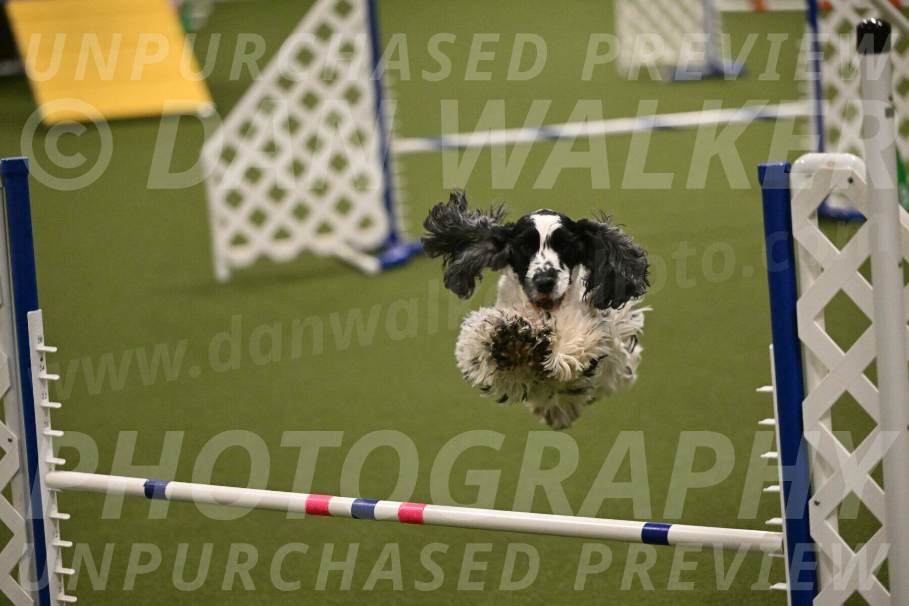 Winston-David-and-Christy-Thorley-02444