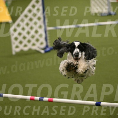 Winston-David-and-Christy-Thorley-02444