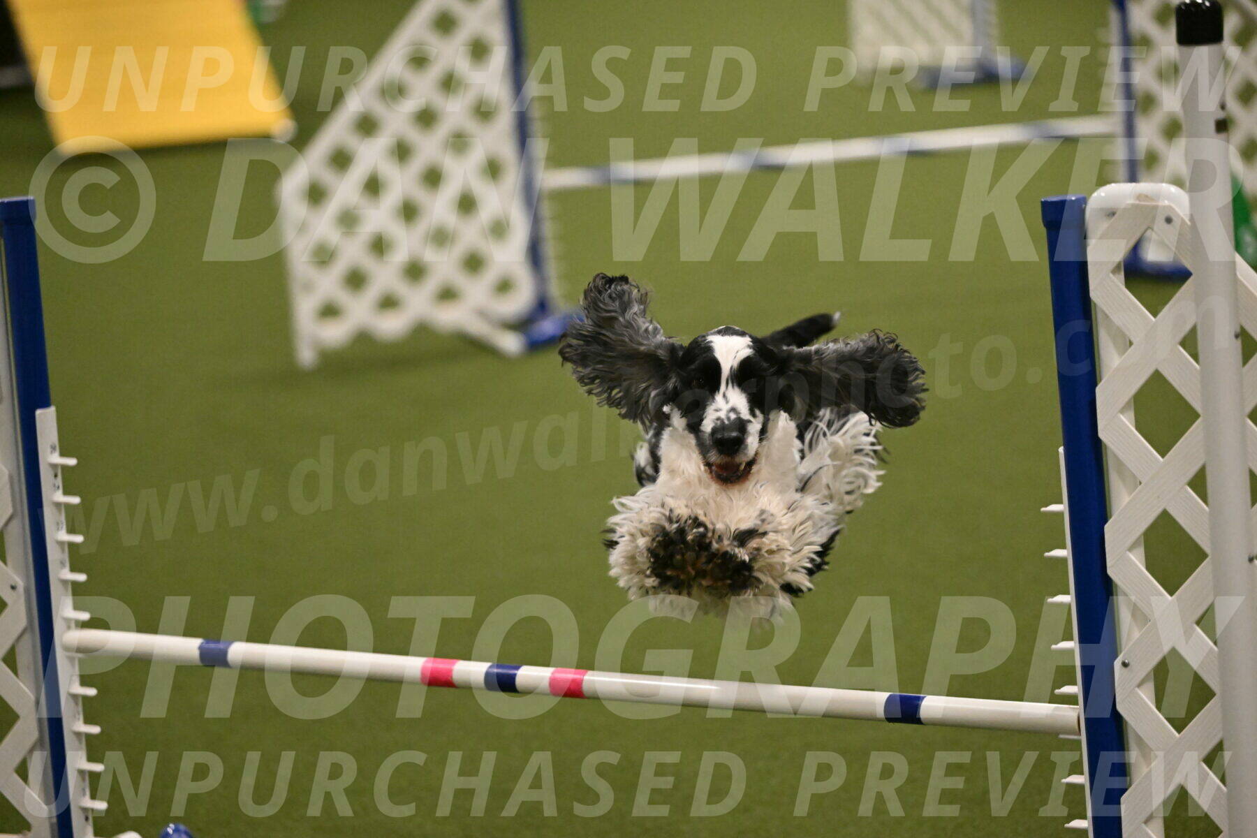 Winston-David-and-Christy-Thorley-02445