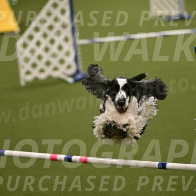 Winston-David-and-Christy-Thorley-02445