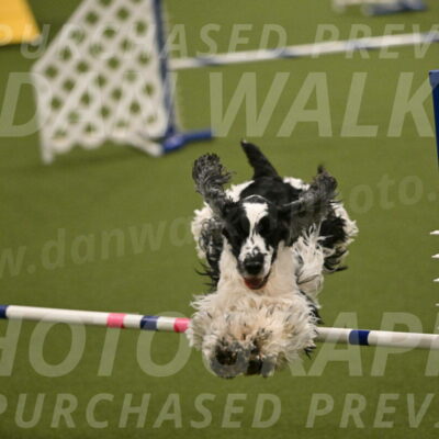 Winston-David-and-Christy-Thorley-02446