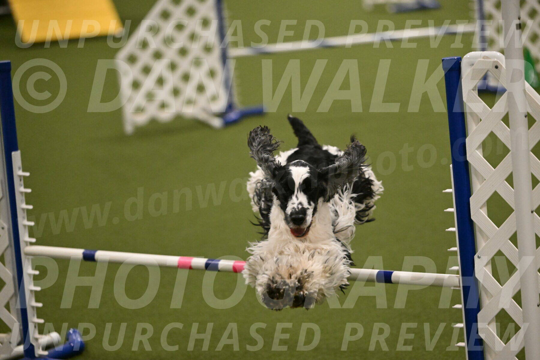 Winston-David-and-Christy-Thorley-02446