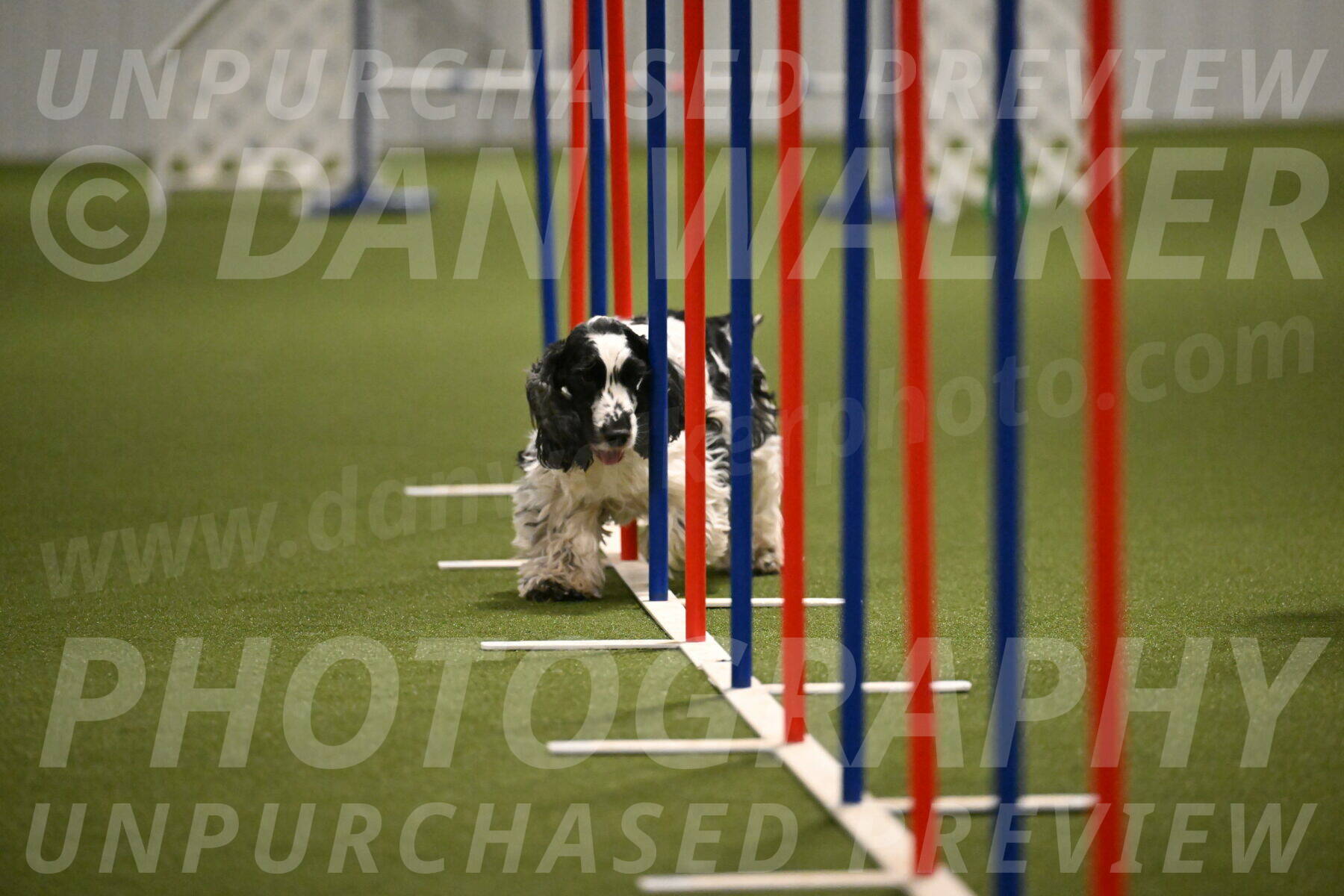 Winston-David-and-Christy-Thorley-02447