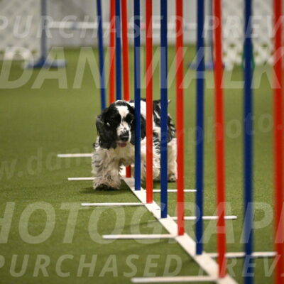 Winston-David-and-Christy-Thorley-02447