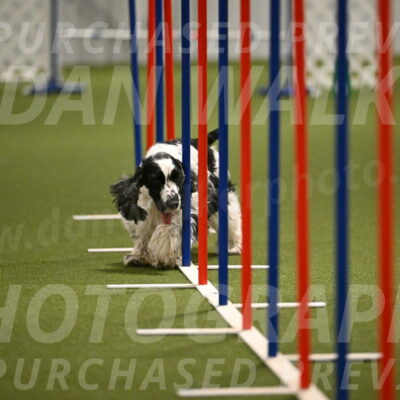 Winston-David-and-Christy-Thorley-02448