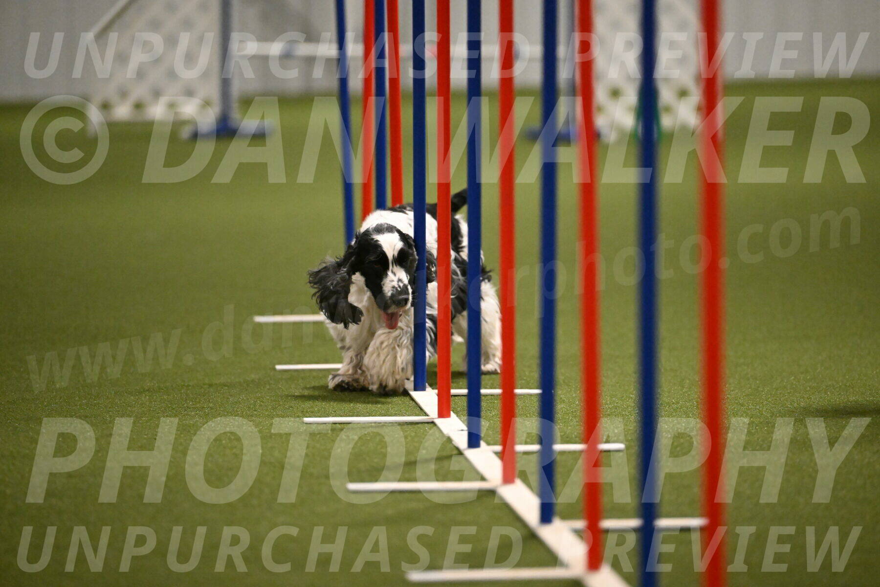 Winston-David-and-Christy-Thorley-02448