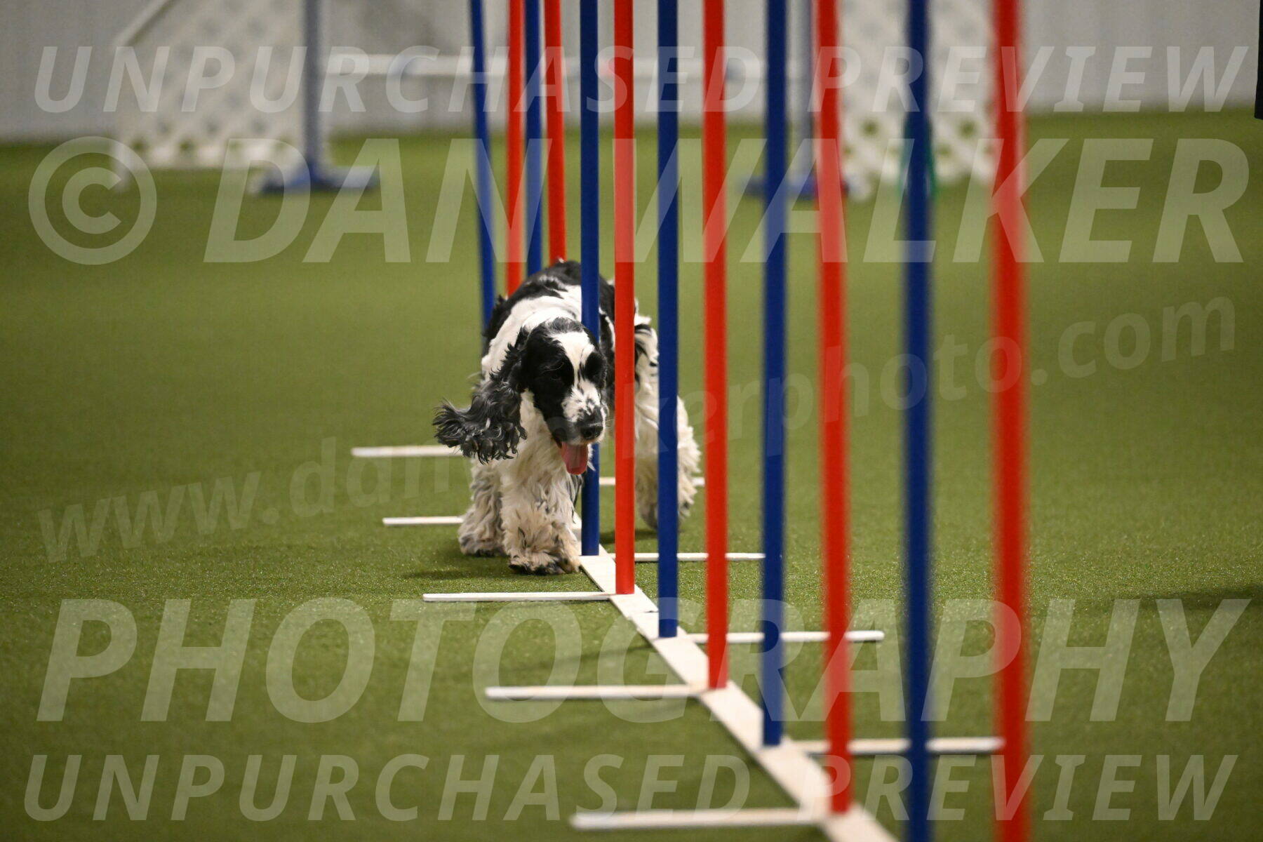 Winston-David-and-Christy-Thorley-02449