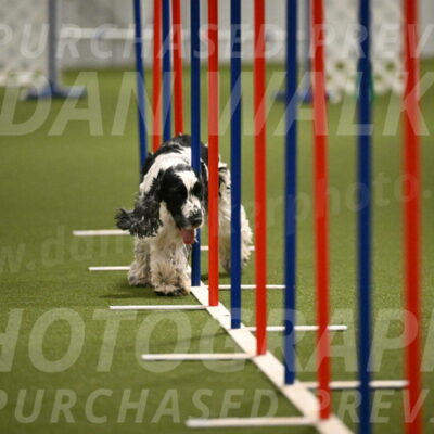 Winston-David-and-Christy-Thorley-02449