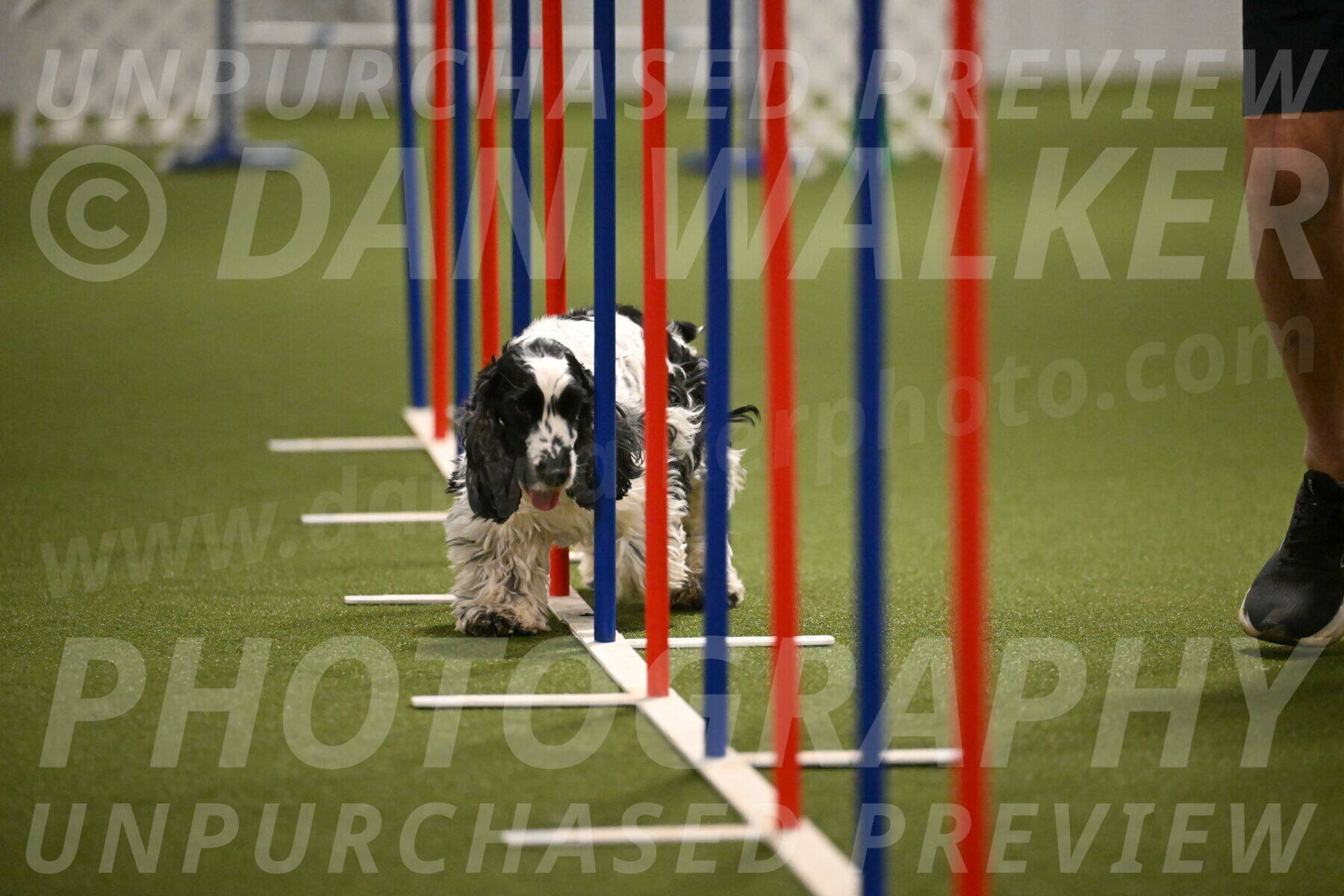 Winston-David-and-Christy-Thorley-02450