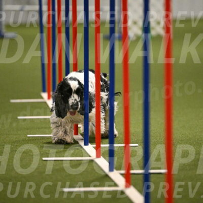 Winston-David-and-Christy-Thorley-02450