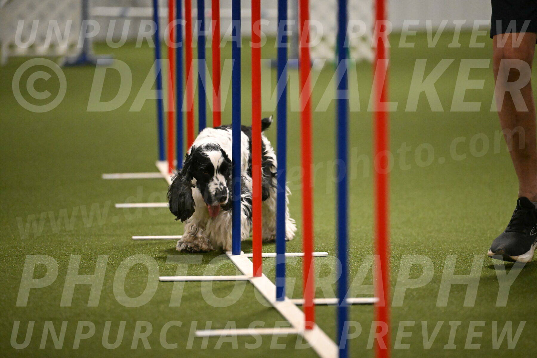 Winston-David-and-Christy-Thorley-02451