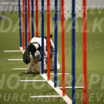 Winston-David-and-Christy-Thorley-02451