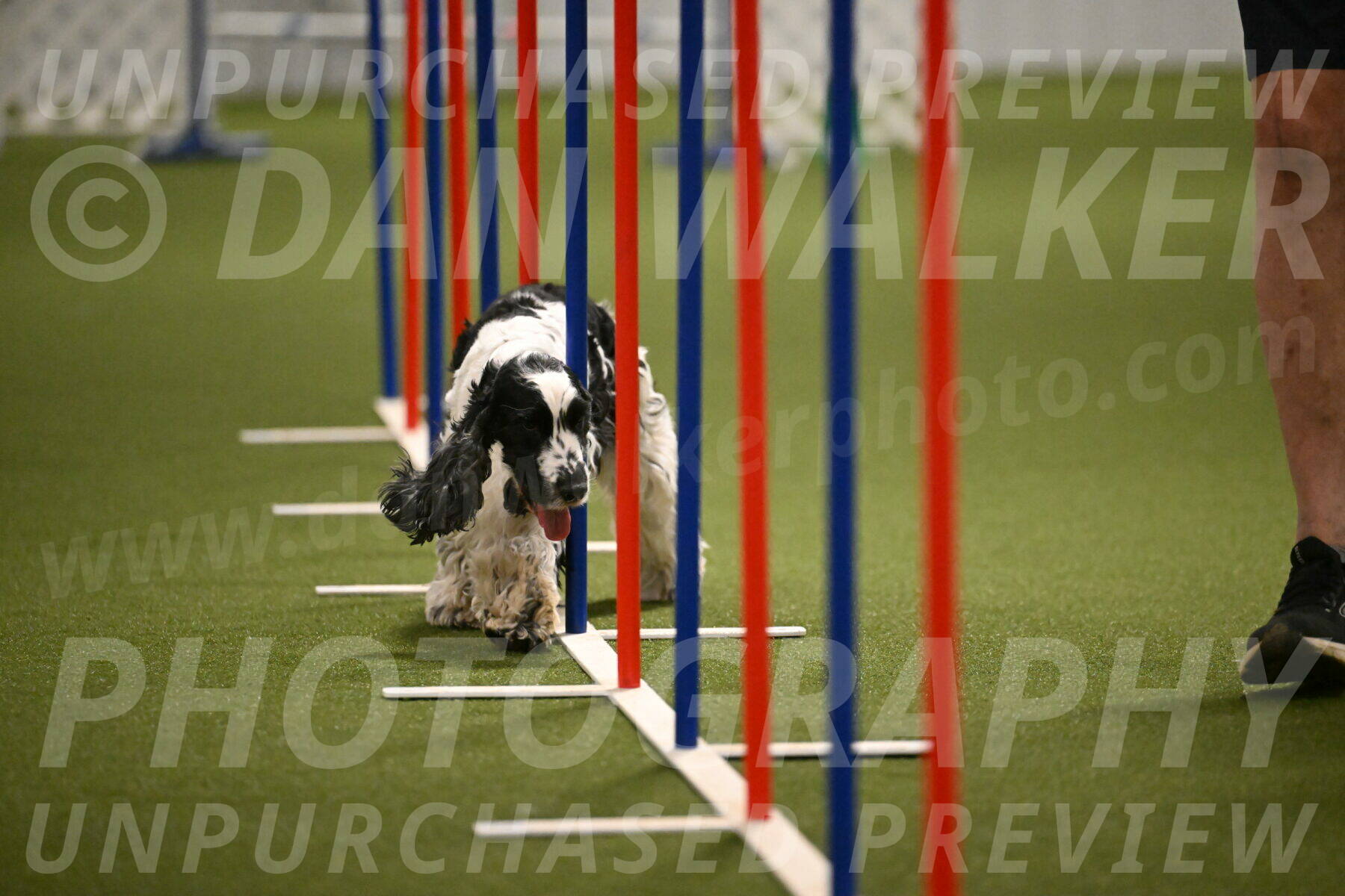 Winston-David-and-Christy-Thorley-02452