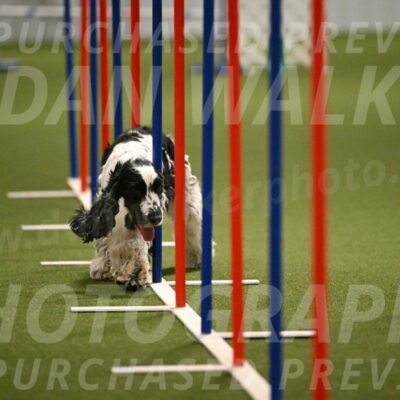 Winston-David-and-Christy-Thorley-02452