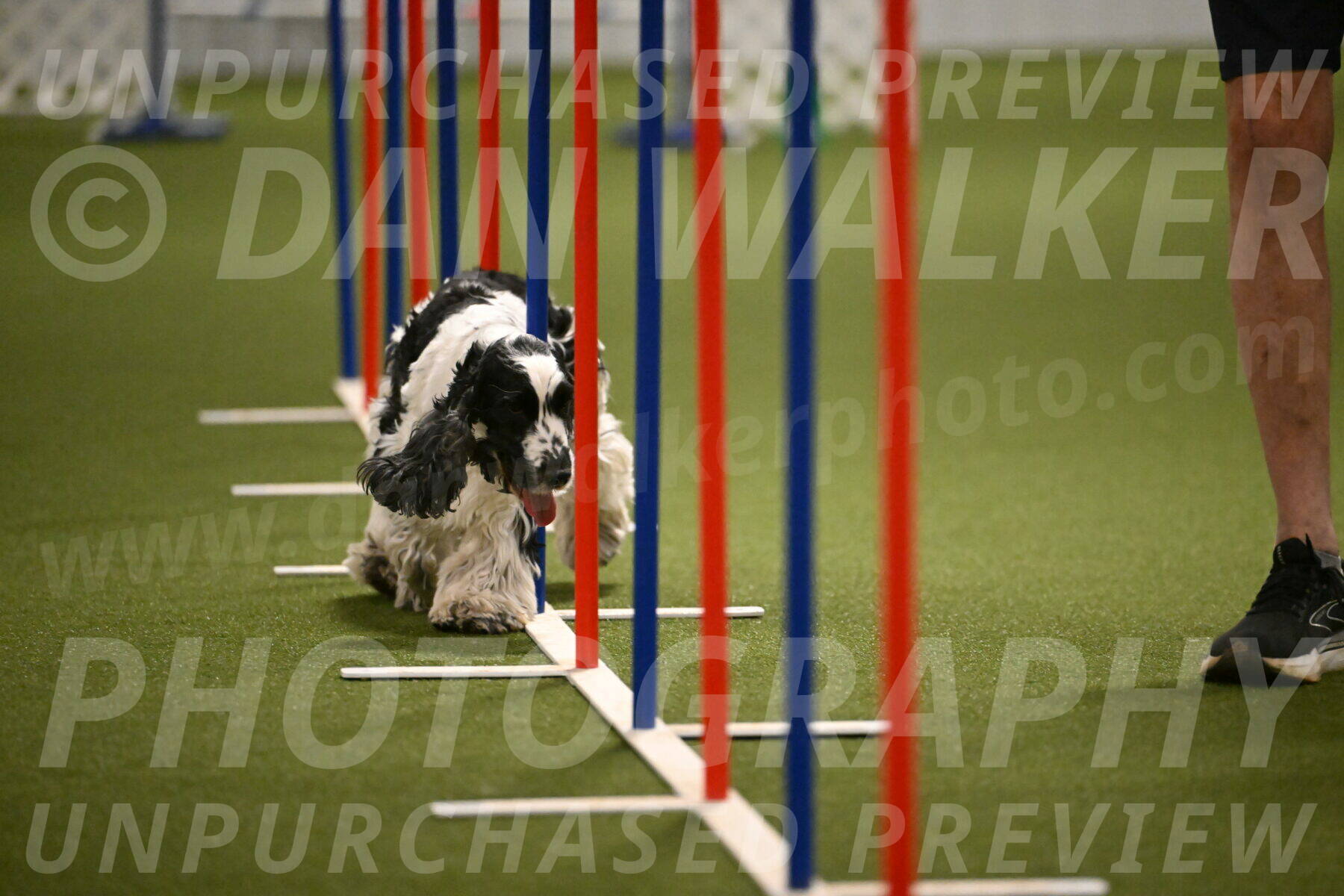 Winston-David-and-Christy-Thorley-02453