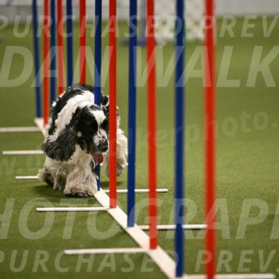 Winston-David-and-Christy-Thorley-02453