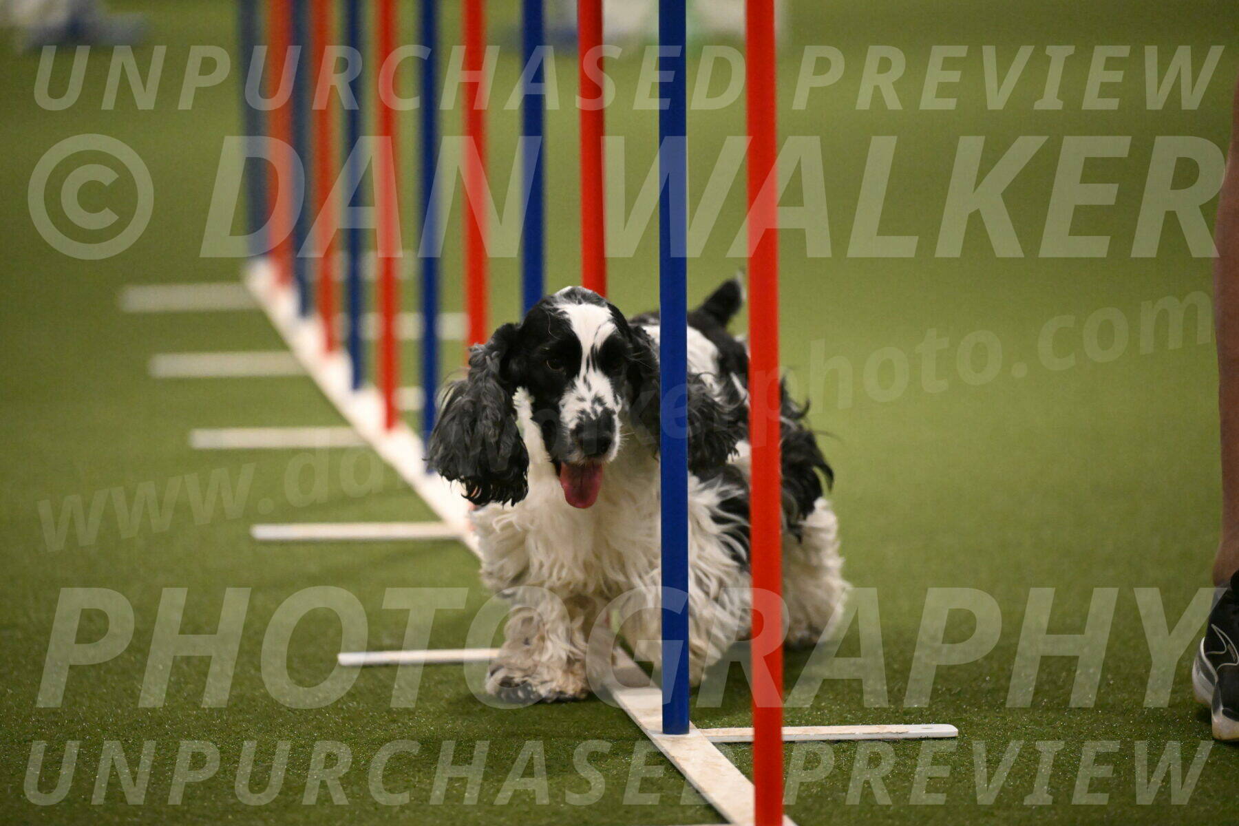 Winston-David-and-Christy-Thorley-02454