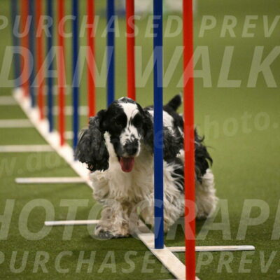 Winston-David-and-Christy-Thorley-02454