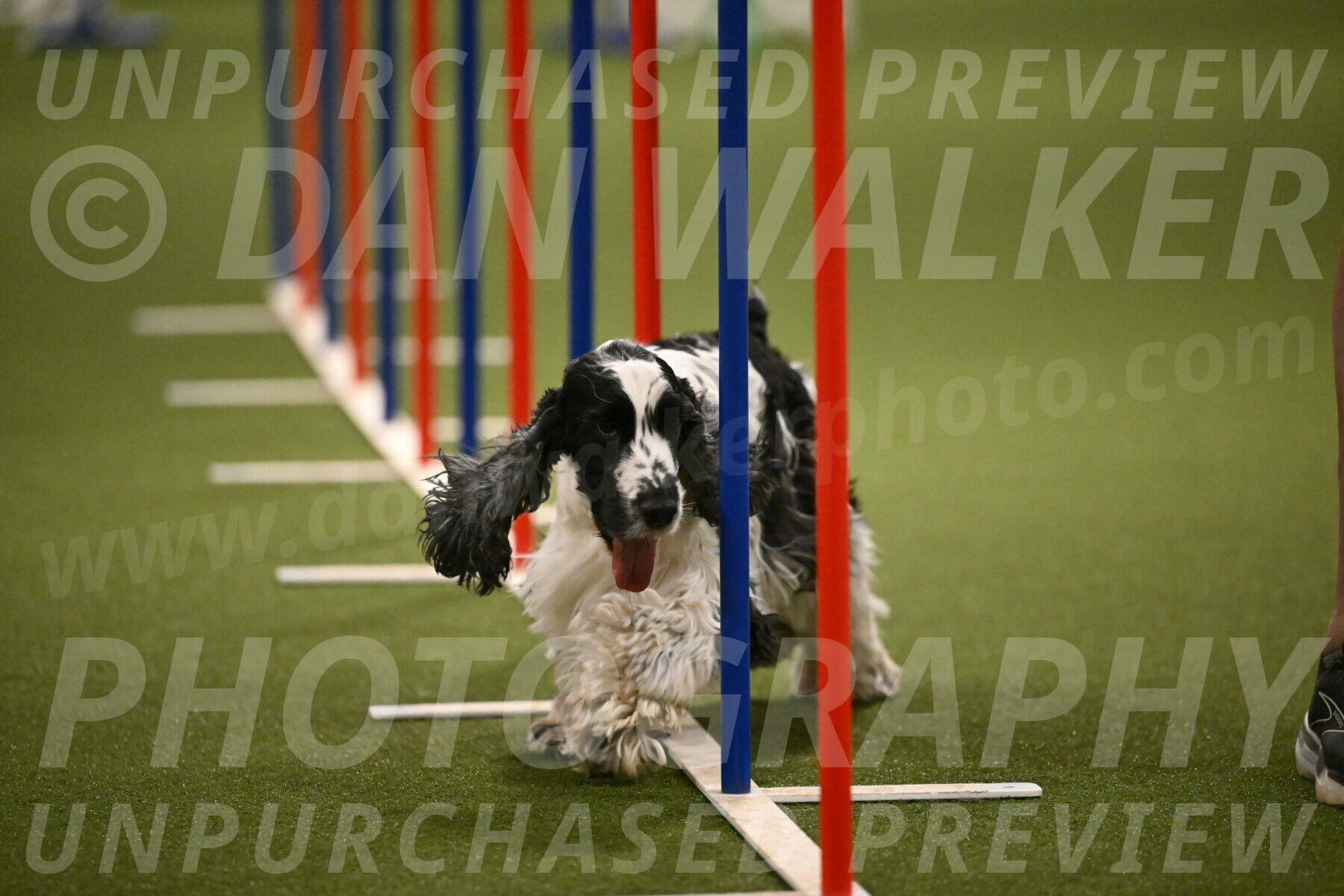 Winston-David-and-Christy-Thorley-02455