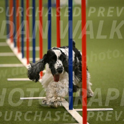 Winston-David-and-Christy-Thorley-02455