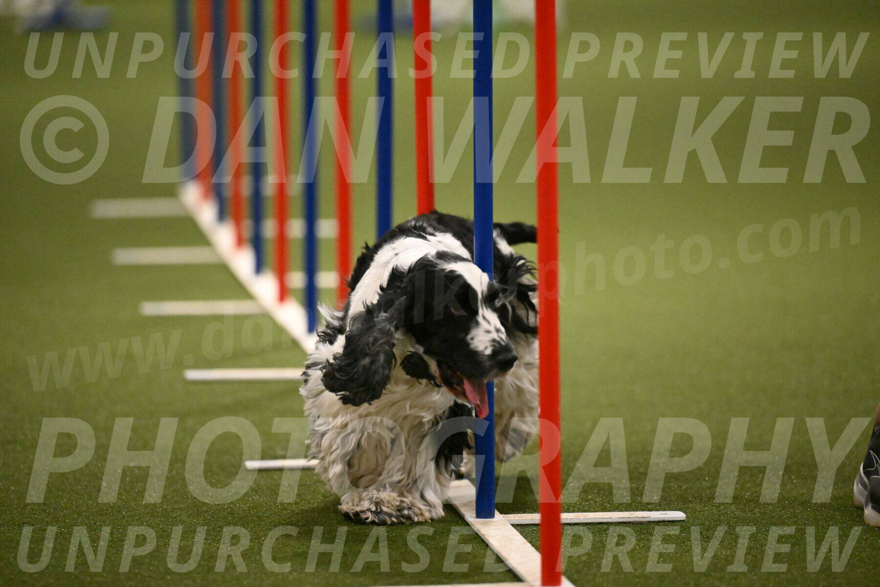 Winston-David-and-Christy-Thorley-02456