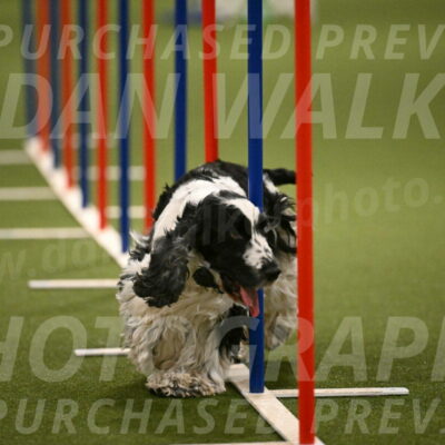 Winston-David-and-Christy-Thorley-02456