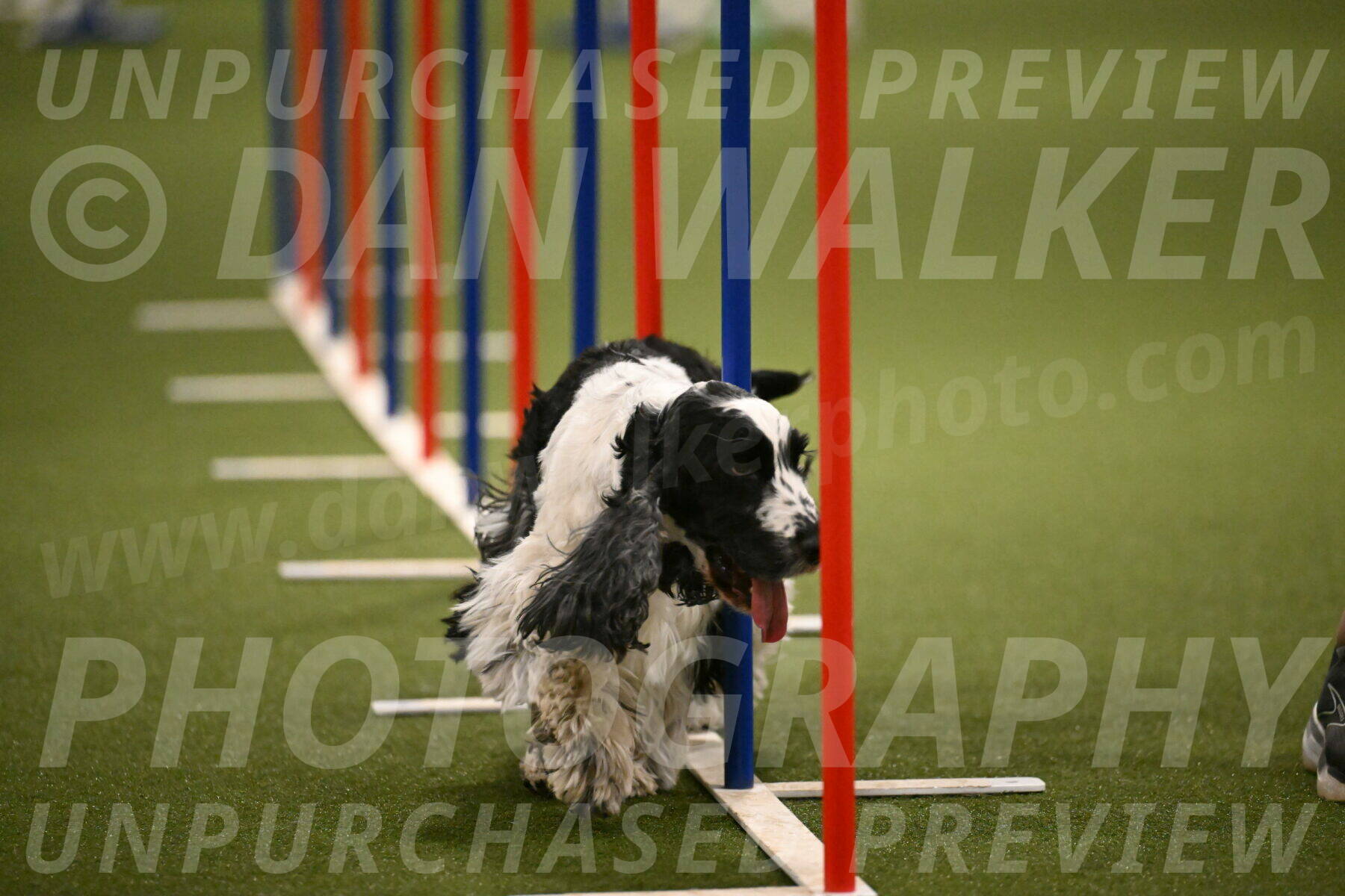 Winston-David-and-Christy-Thorley-02457