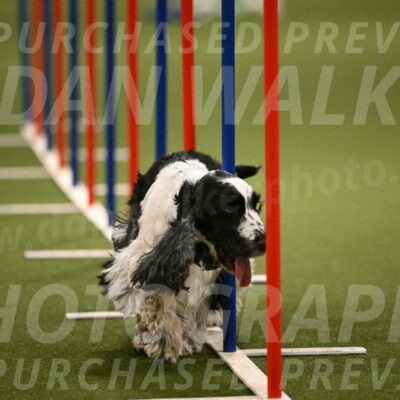 Winston-David-and-Christy-Thorley-02457