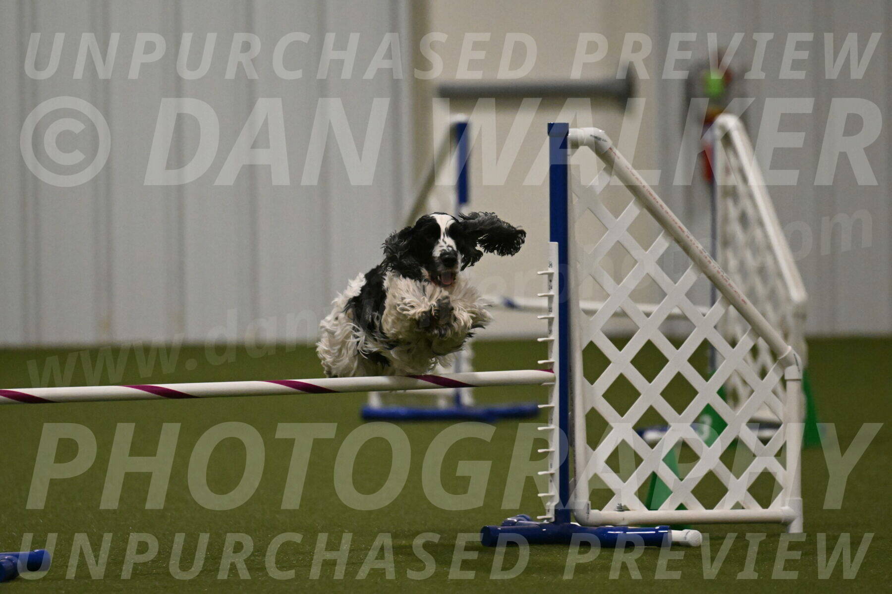 Winston-David-and-Christy-Thorley-02458