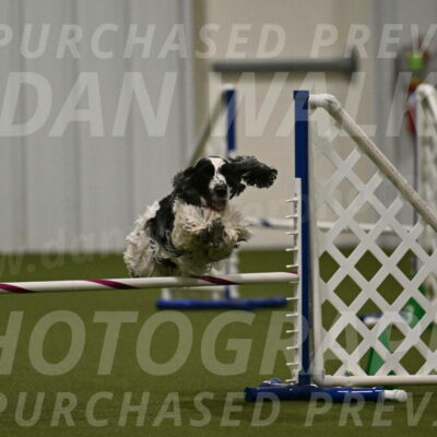 Winston-David-and-Christy-Thorley-02458