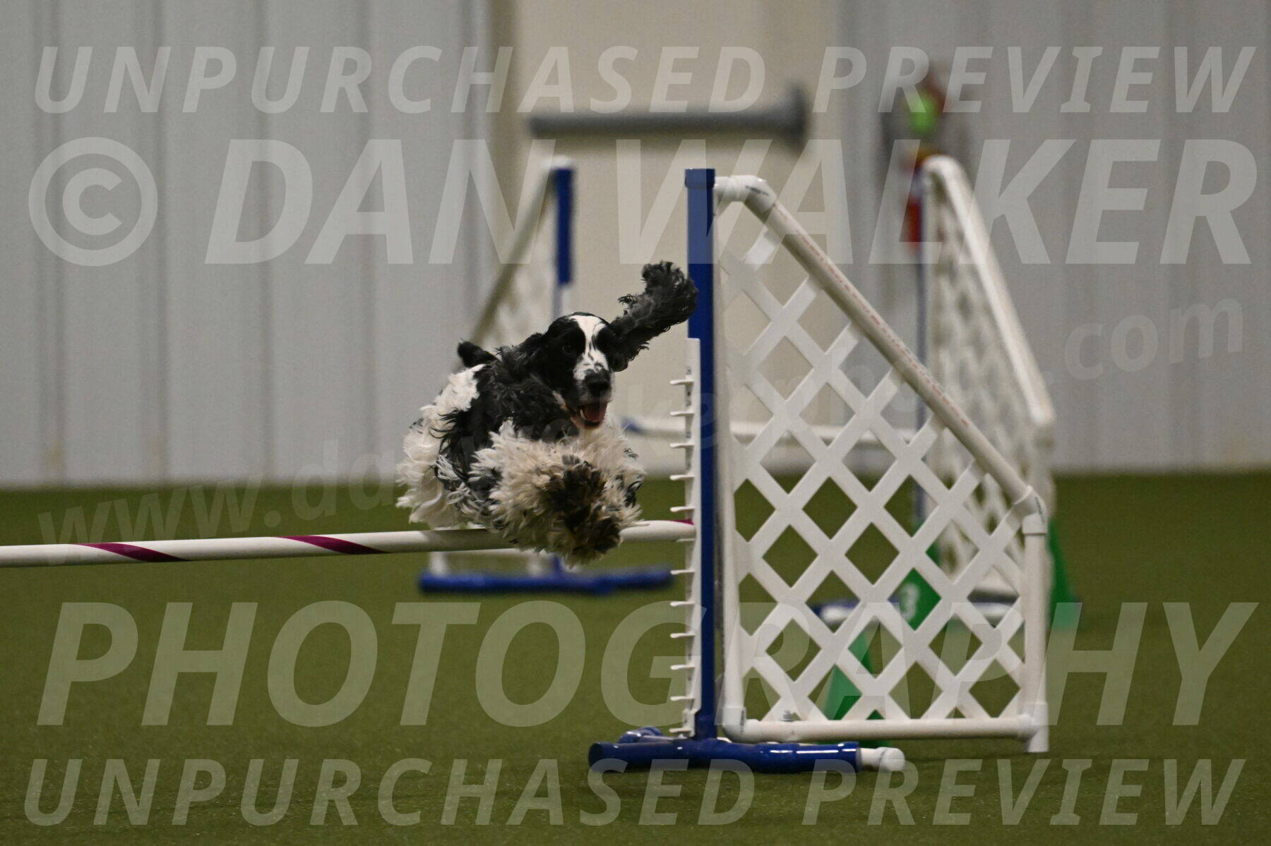 Winston-David-and-Christy-Thorley-02459