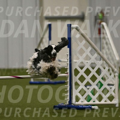 Winston-David-and-Christy-Thorley-02459