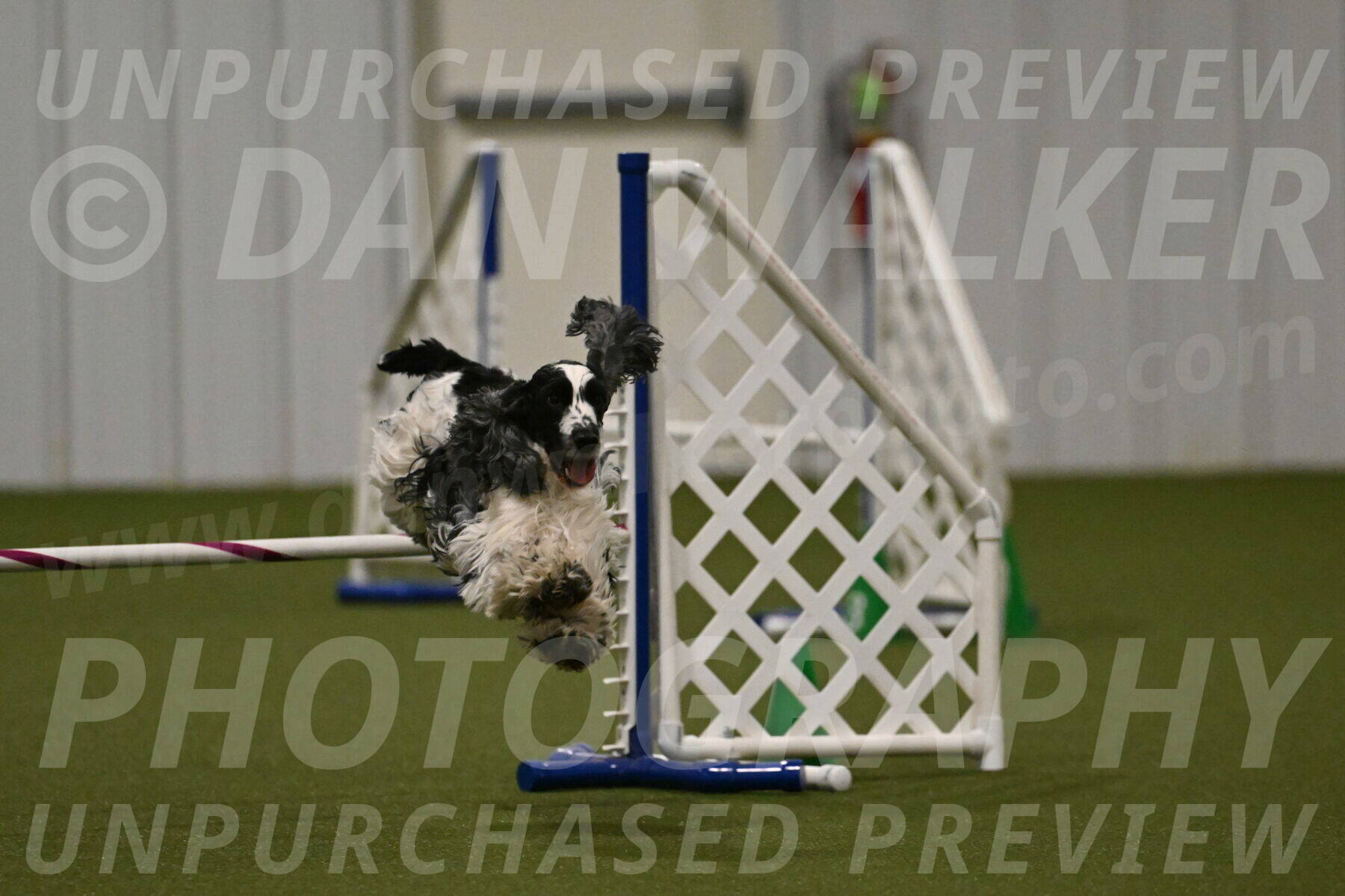 Winston-David-and-Christy-Thorley-02460