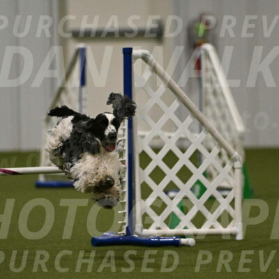 Winston-David-and-Christy-Thorley-02460