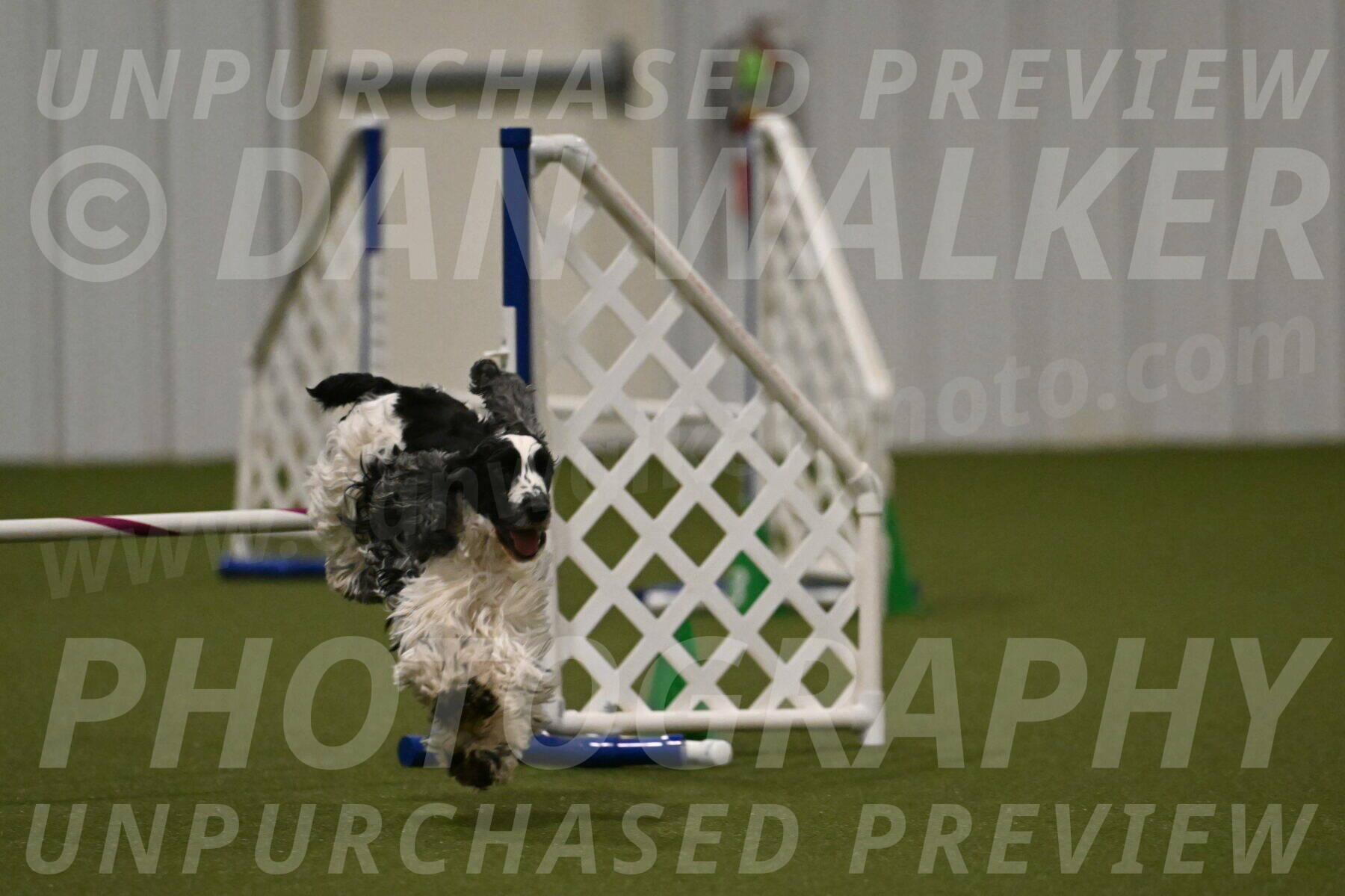 Winston-David-and-Christy-Thorley-02461