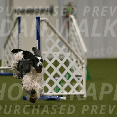 Winston-David-and-Christy-Thorley-02461