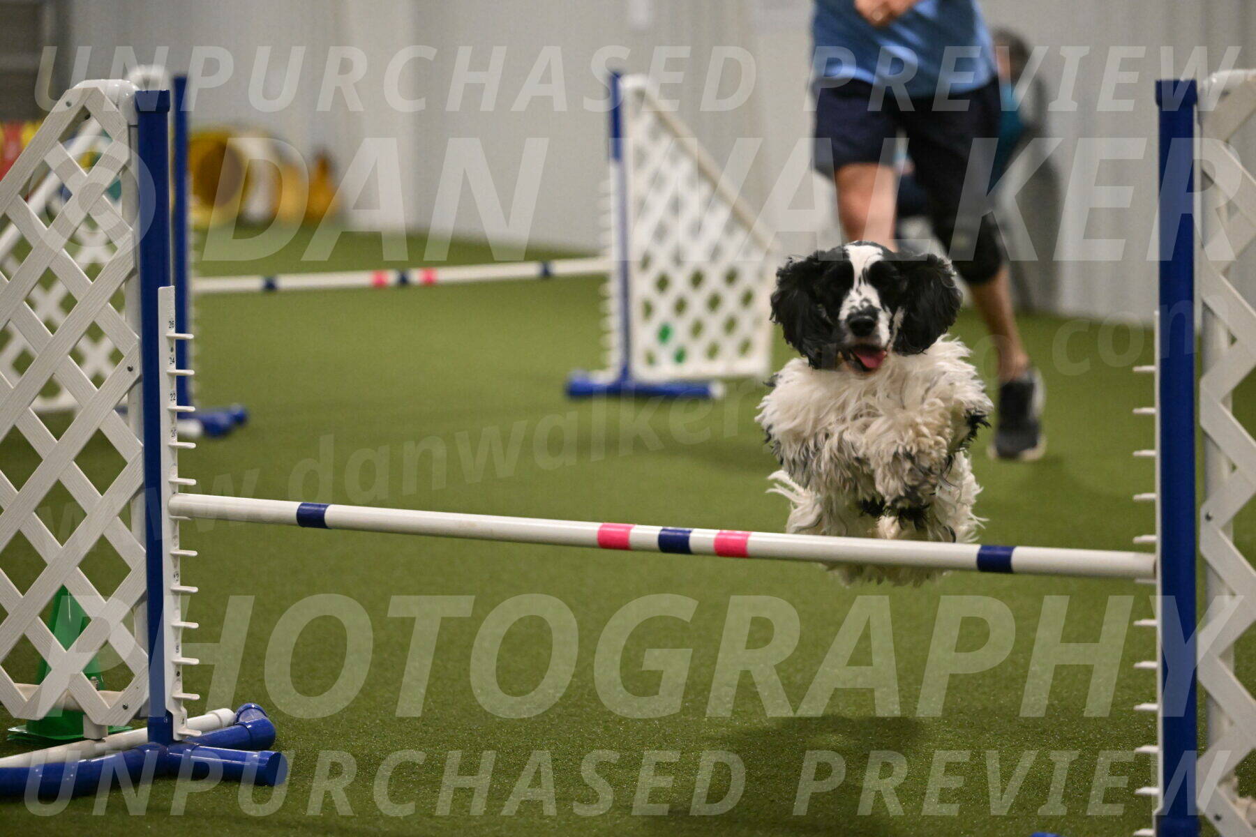 Winston-David-and-Christy-Thorley-02462