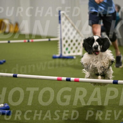 Winston-David-and-Christy-Thorley-02462