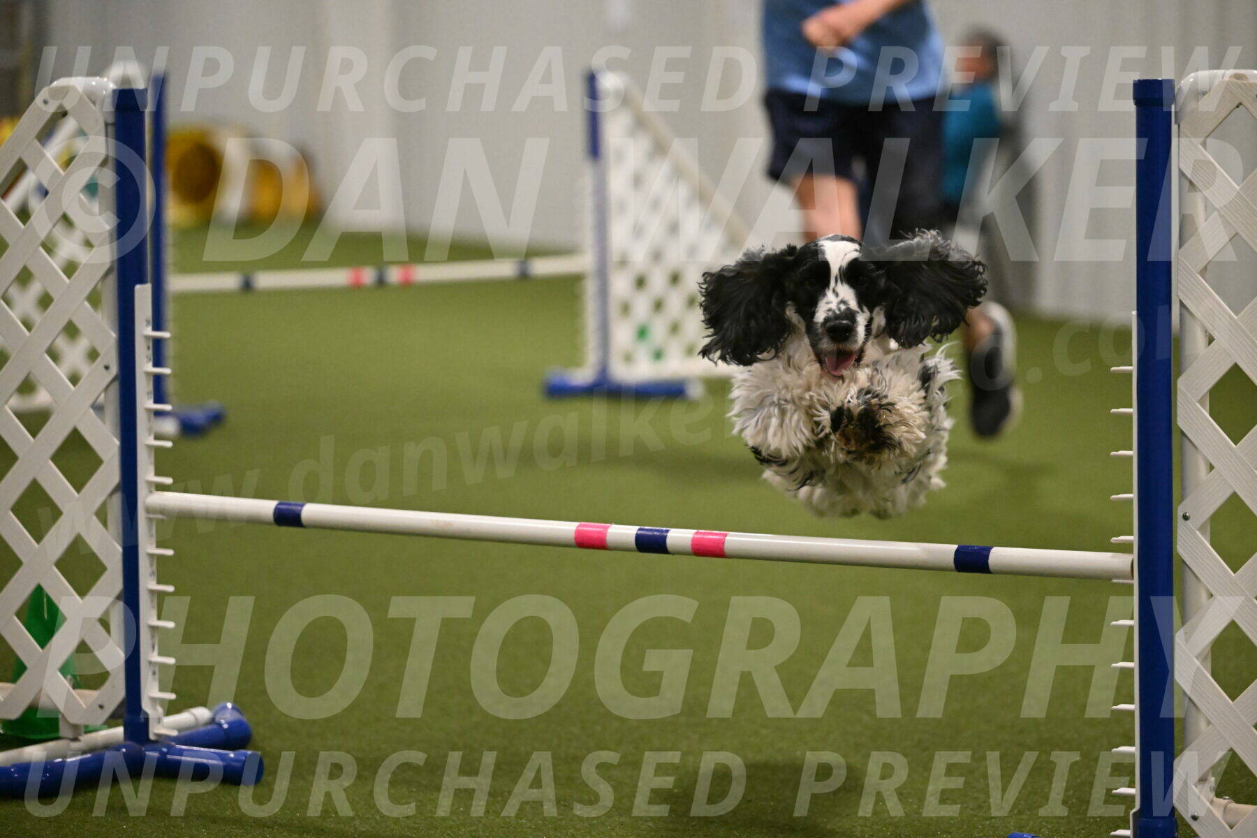 Winston-David-and-Christy-Thorley-02463