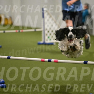 Winston-David-and-Christy-Thorley-02463