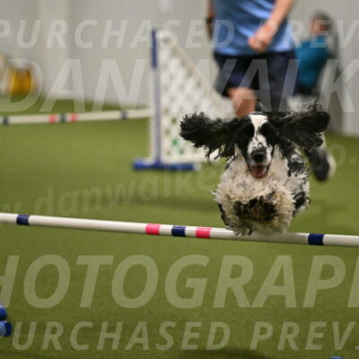 Winston-David-and-Christy-Thorley-02464