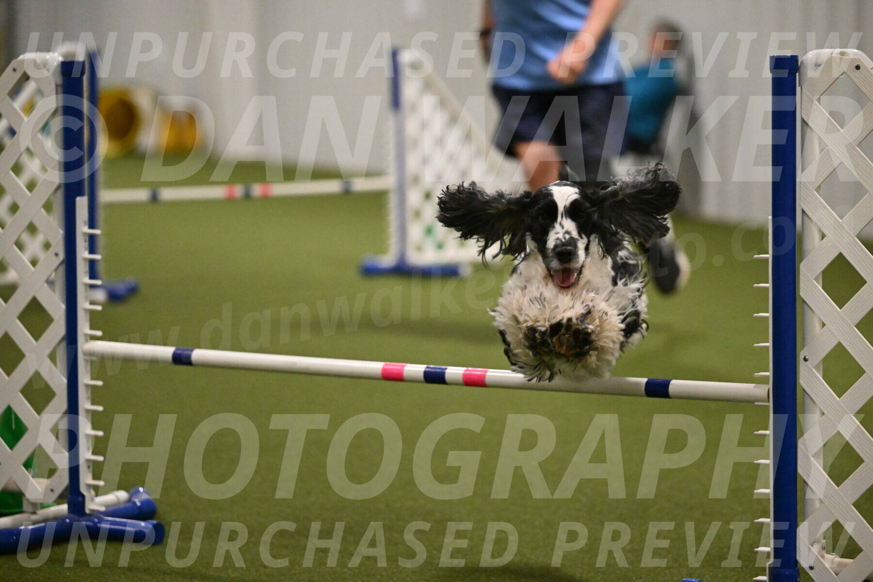 Winston-David-and-Christy-Thorley-02464