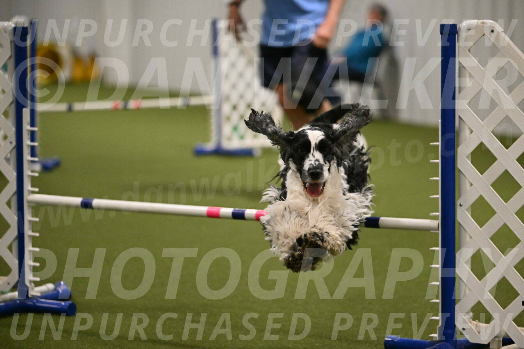 Winston-David-and-Christy-Thorley-02465