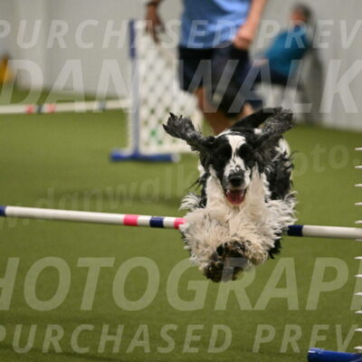 Winston-David-and-Christy-Thorley-02465