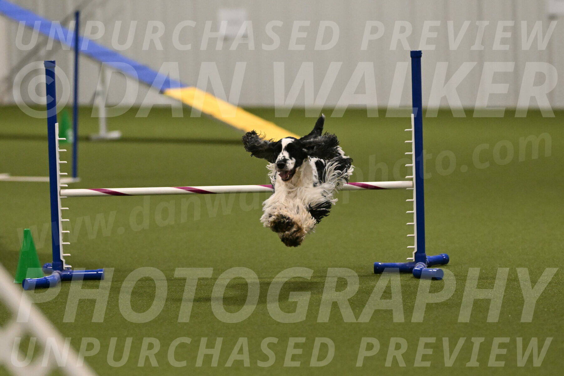 Winston-David-and-Christy-Thorley-02466