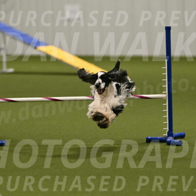 Winston-David-and-Christy-Thorley-02466