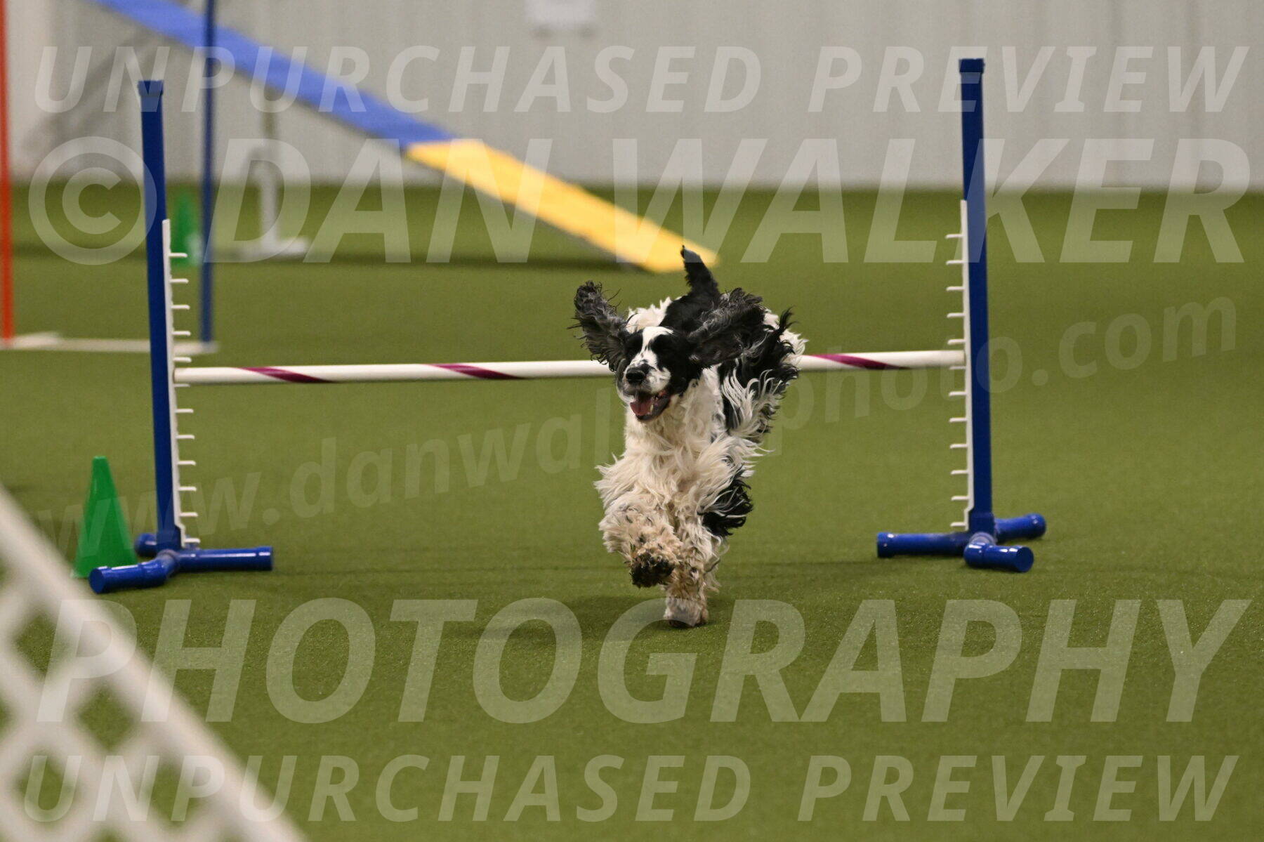 Winston-David-and-Christy-Thorley-02467