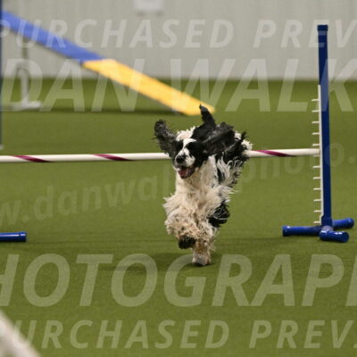 Winston-David-and-Christy-Thorley-02467