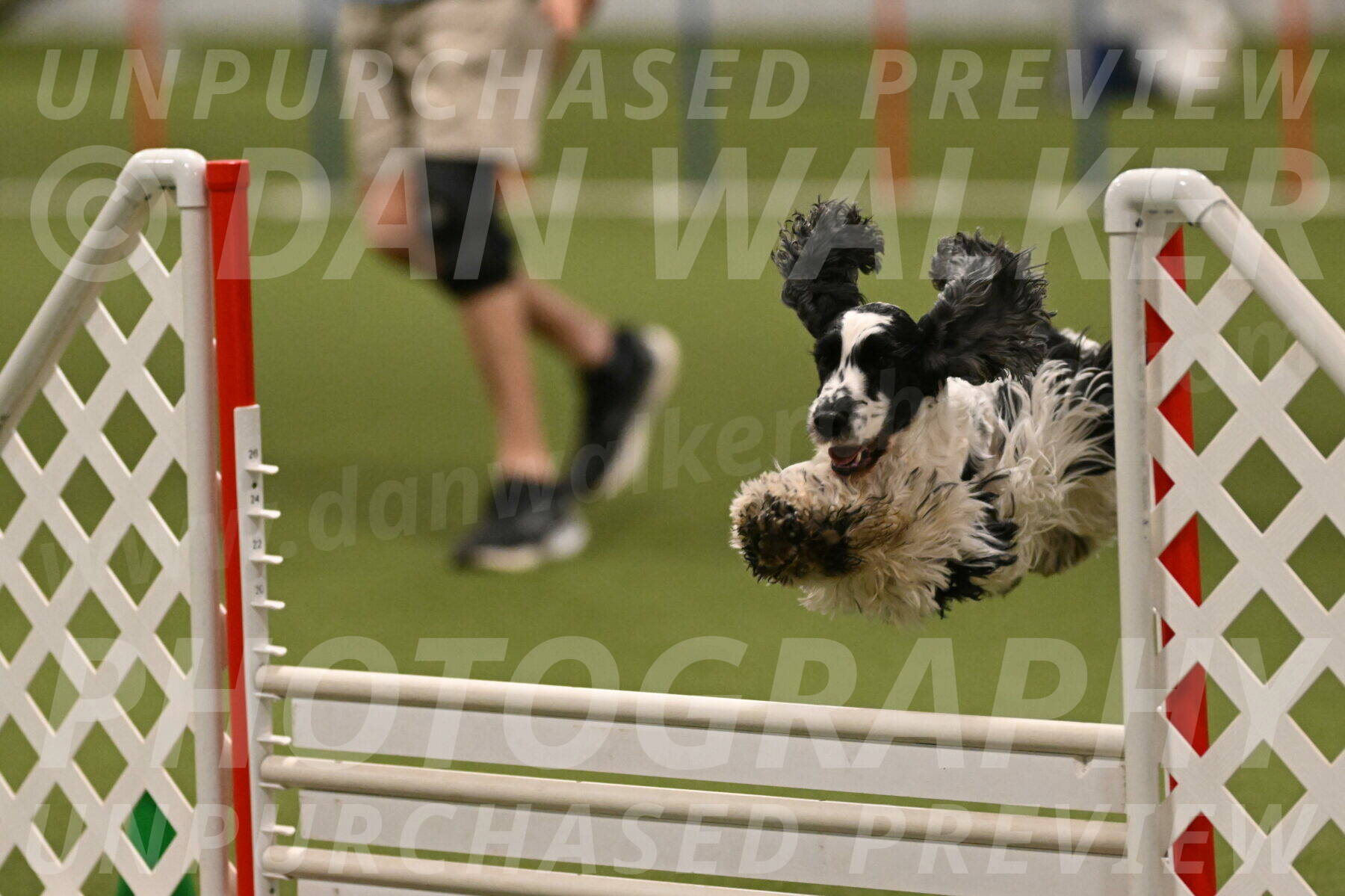 Winston-David-and-Christy-Thorley-02468